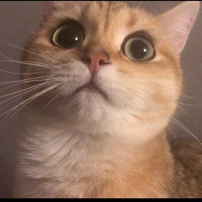 Pbeyond30923's profile picture. Making ULTRAMAN stuff in Unity and VRChat