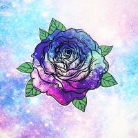 🌹GalaxyRose🌹(@galaxyrose0000) 's Twitter Profile Photo