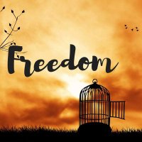 freedom.from.narcissistic.abuse(@abused_no_more) 's Twitter Profile Photo