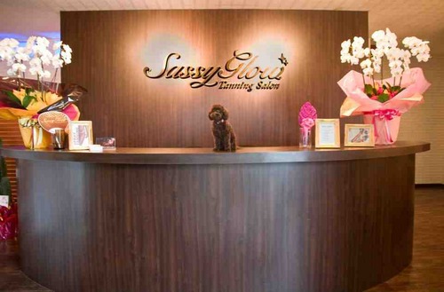 This is the tanning salon where you can get your Sassy Glow.  Please check out our website as well.  http://t.co/pvyuqrBD4C