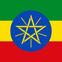 Getu Abebe (@get_pap) 's Twitter Profile