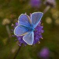 Miriam Garcia Mortell (@domitilamgm) 's Twitter Profile