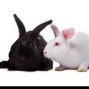 Dave and steve - @Dave_steve23 - Twitter