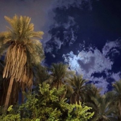 BadtAdt's profile picture. وَكَم لِلّهِ مِن لُطفٍ خَفي🥀