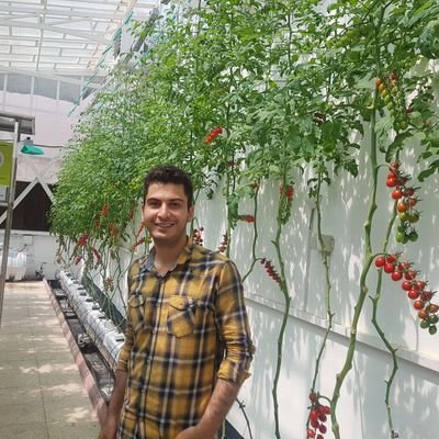 REbrahimi6's profile picture. یه اسفندماهی معمولی