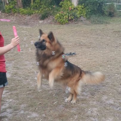 Freedom4Zeus's profile picture. So glad I grew up in the 70's & 80's & was an adult in the 90's. This world is a hot mess. Stick your pronouns & your PC culture sideways.