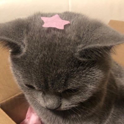 passo meu novo @ na dm~ 🐾 ͏ ͏ ͏ ͏ ͏ ͏ ͏ ͏ ͏ ͏͏ ͏ ͏ ͏