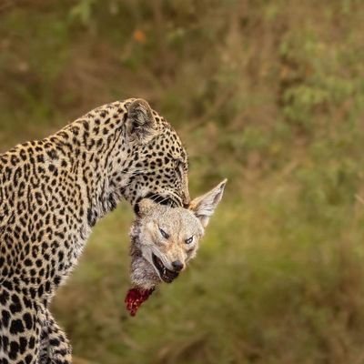 SaadSalama9224's profile picture. 