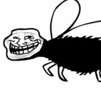 Loone (@loonefly) 's Twitter Profile