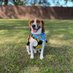 Tucker The Neighborhood Beagle (@tuckerdabeagle) Twitter profile photo Tucker The Neighborhood Beagle (@tuckerdabeagle) Twitter profile photo