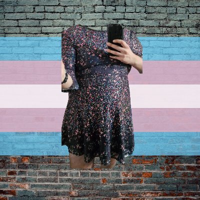 Trans, bi, still figuring things out.