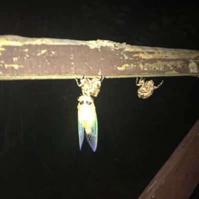 Hide00908688's profile picture. 