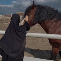 Abeer (@ael3_) 's Twitter Profile