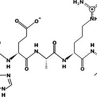 General Biochemistry I (@genbiochemi) 's Twitter Profile Photo General Biochemistry I (@genbiochemi) 's Twitter Profile Photo