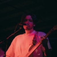 I D I O P H Y L E 🌿 (@idiophyle) 's Twitter Profile Photo