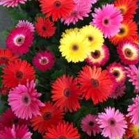 りん｜Webライター (@write_tips) Twitter profile photo