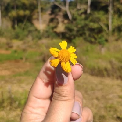 BuhAndre's profile picture. 