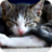 apricot_memory's profile image