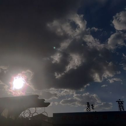 dingzhe01333384's profile picture. 