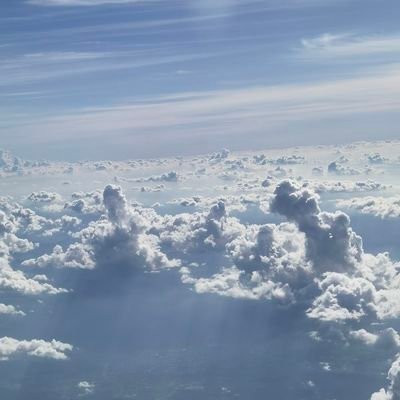 baboboPapa's profile picture. 