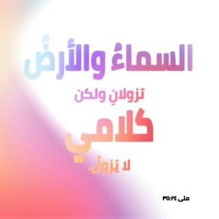 e7683c4b75514ff's profile picture. $IM