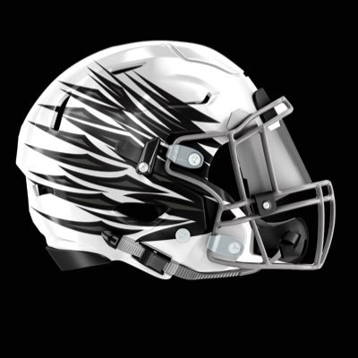 The Official Twitter for Springtown Porcupines Football