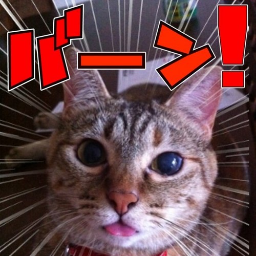 syuhey7's profile picture. 気づけば40代後半です。でも流行の物には喰らいつきます。Twitterわからんなりに，がむばります。リターンライダー。20年ぶりに跨ります。