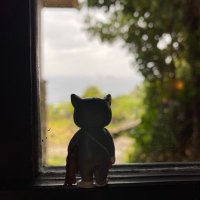 ハイパーかませ犬 (@k76dxsrsukvrg9k) 's Twitter Profile Photo