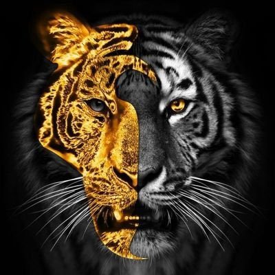 ScottLE0Warri0's profile picture. My posts are my own opinions and NOT financial advice/ALWAYS DYOR 💯 $LEOS $LEON $BNB @swapleonicorn CMO https://t.co/2I5G4b4Cwg