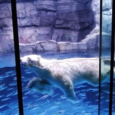 b6fF2zfM1ivW1Nl's profile picture. 2022年10月社労士、2023年3月簿記2級、2023年4月ITパスポート🈴☺
次は、何を目指すかな。
医療機関で勤務中です。
神奈川に住んでます。医療経営士2級。
人材育成に強い社労士を目指します。
一緒に頑張りましょう💪
無言フォロー失礼します🙇