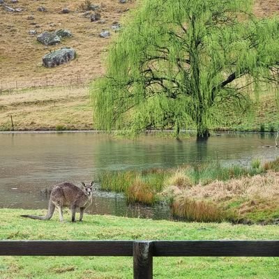 Bara2850's profile picture. Farming the Bara Valley