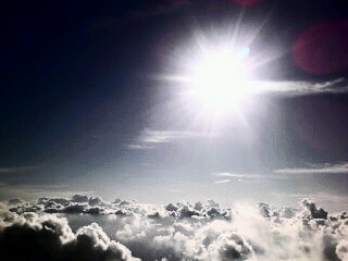 murmur1013's profile picture. 自然観察が好きなんかな、