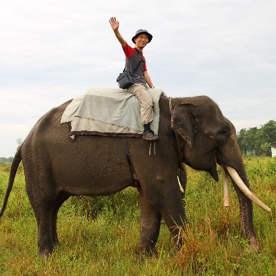 香川県高松市在住の現役を引退した進化生物学者。家の近くの栗林公園に通って、鳥、昆虫、粘菌などを観察しています。Web科学バーhttps://t.co/pAxnbEhEzEで「すべての生き物をめぐる１００の系統樹」を連載中。