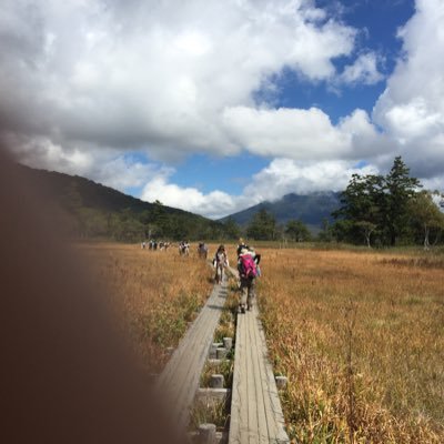 星川はるか氏のイラスト全てを私への直接返信で使用しないで下さい。気分を害するので。