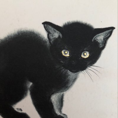 ayacb7's profile picture. 映画・ドラマ（国内、海外）英語音声英語字幕 音楽（クラシック・ジャズ） 建築・インテリア アート・色彩 佐藤健 英会話