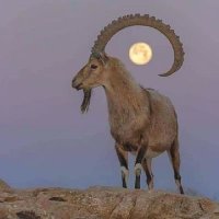 رايد. (@lll_m82) 's Twitter Profile Photo رايد. (@lll_m82) 's Twitter Profile Photo