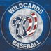 LBA Wildcards 2025 (17u) (@wildcards2025) Twitter profile photo LBA Wildcards 2025 (17u) (@wildcards2025) Twitter profile photo