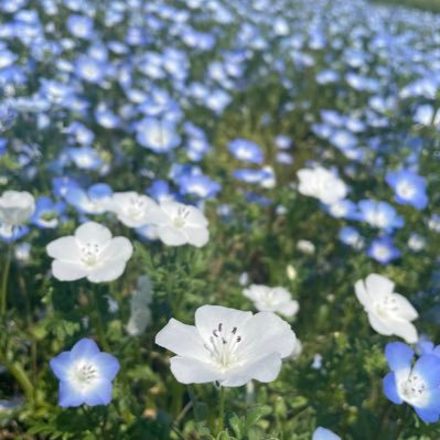 イコノイジョイトレ用 求:大谷 菅波 大信田(齋藤 佐々木 髙松 本田 谷崎 天野)(写り好み、友人代行で他のメンバーを募集することもあります。） next→10/11,11/3,11/30,12/14,1/24