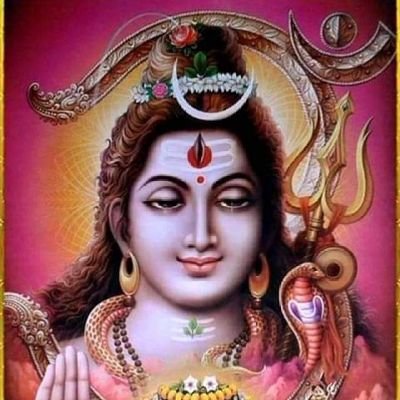 bangshiroy818's profile picture. 