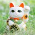59cat (@59cat1) Twitter profile photo 59cat (@59cat1) Twitter profile photo