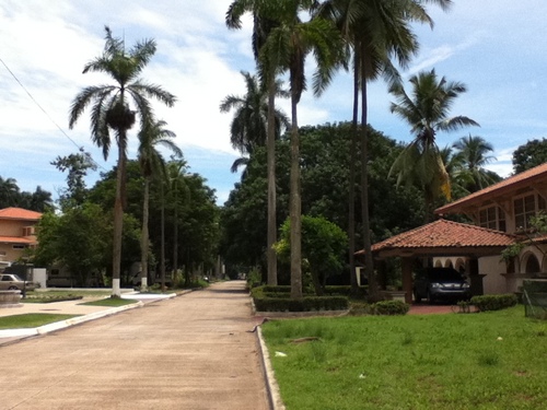 AmadorLot's profile picture. Lote en Venta. Panama Canal Land on Sale. Interesados escribir a amadorlot@gmail.com