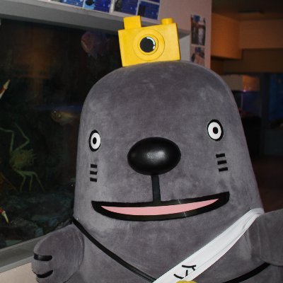 愛知県蒲郡(がまごおり)市にある水族館/深海生物日本一/日本一解説が読まれる水族館/アシカショーもあるよ
動物取扱業登録番号:動東第139号
