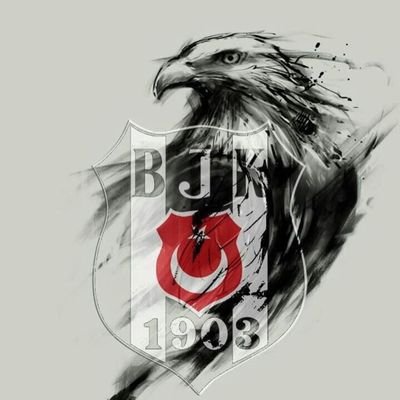 ylmz_ysfcn1903's profile picture. 