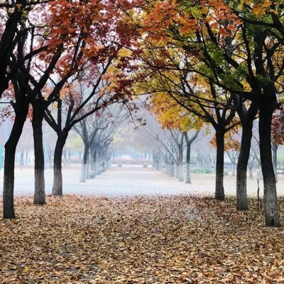 Sherrys40108466's profile picture. 