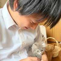 やまし(@yamashi_taraki) 's Twitter Profile Photo