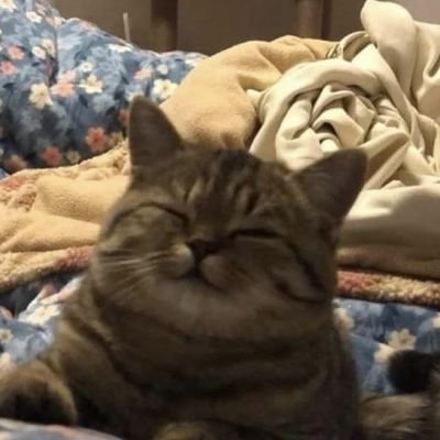 HnslnutzzLatte's profile picture. For yesterday i am grateful,
For today i am thankful,
and until the end i am Faithful.