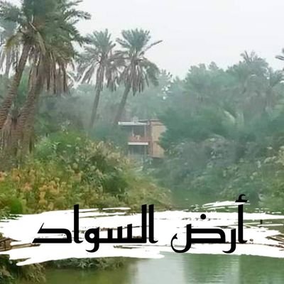 #جندي_حشدي_مقاوم_من_أرض_السواد
︎