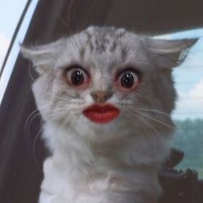 Melaniepow87's profile picture. 