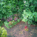 Anil Naik (@anilnai73211943) Twitter profile photo Anil Naik (@anilnai73211943) Twitter profile photo