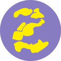 Zeeland Nazomerfestival (@nazomerfestival) 's Twitter Profile